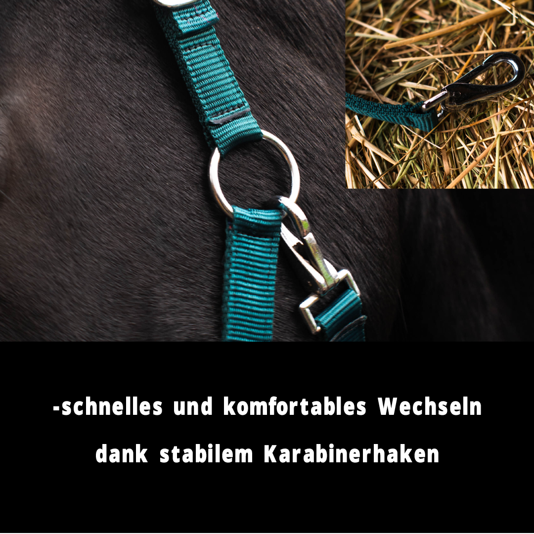 Halfter 2-Fach verstellbar mit Dornschnallen